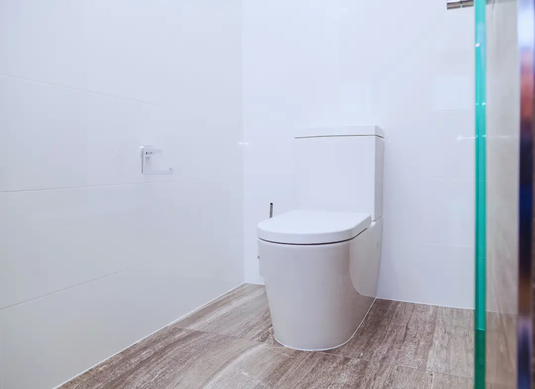 Remplacement de wc Ballan-Miré